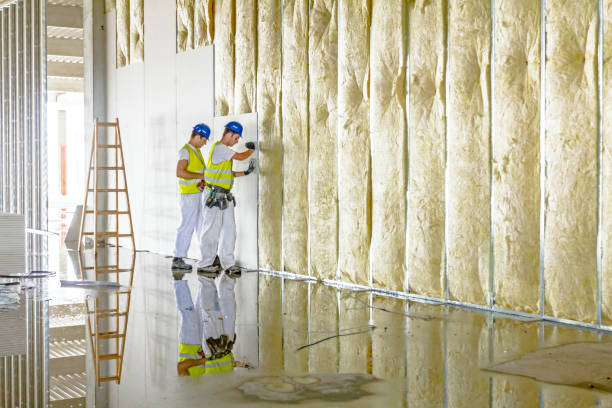 Types of Insulation We Offer in Sudden Valley, WA